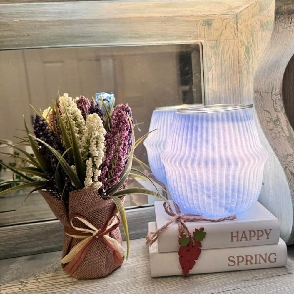 Scentsy Warmer